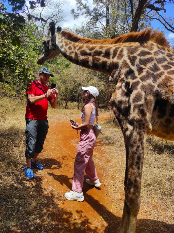 Nairobi National Park Tour
