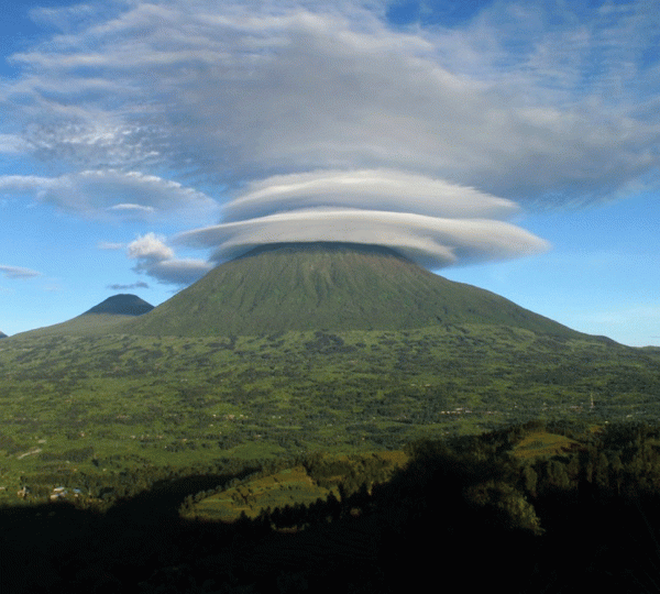 8 DAYS ACROSS RWANDA –AKAGERA-VOLCANOES,  NYUNGWE EXPERIENCE & LAKE KIVU