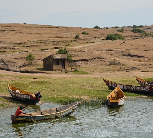 8 DAYS BEST OF UGANDA WILDLIFE SAFARI